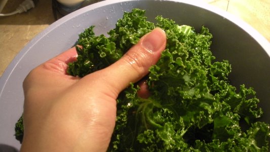 Adding the oil to the kale chips