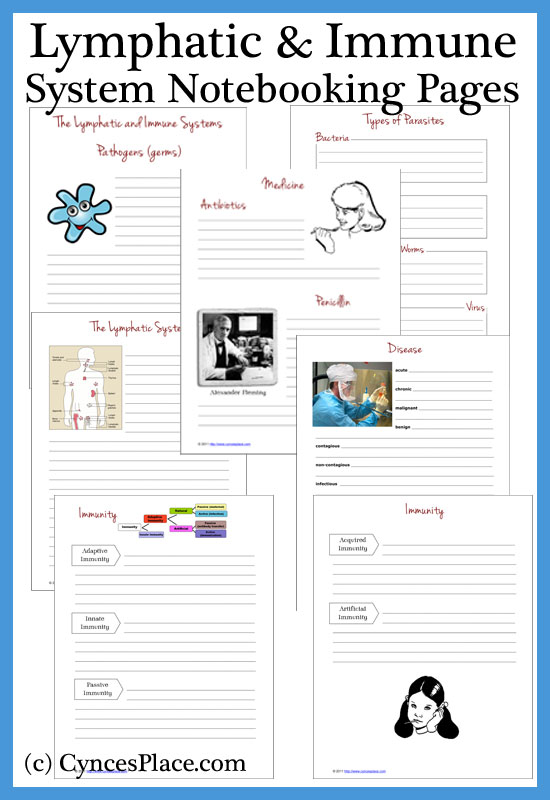 Lymphatic and Immune System Notebooking Pages