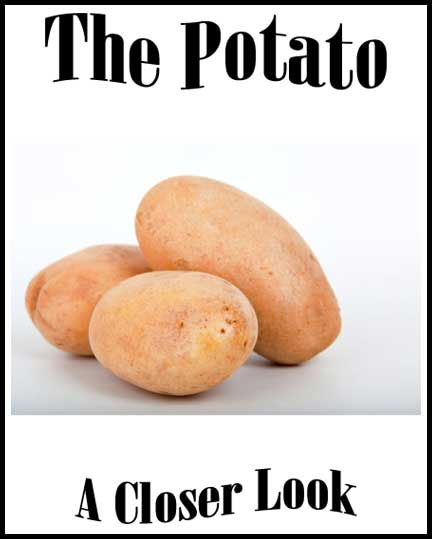 The Potato Notebooking Pages