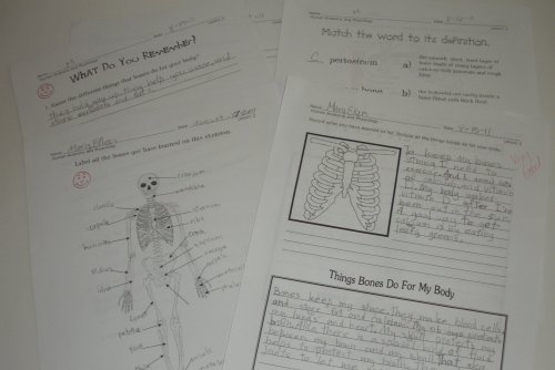 Anatomy Notebooking Pages - MaryEllen