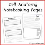 Cell Anatomy Notebooking Pages
