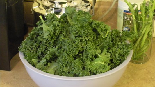 Kale ready to be made into kale chips
