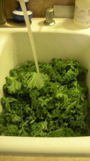 Washing the kale