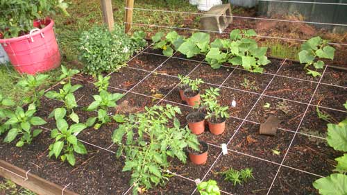 garden bed