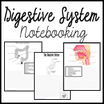 Digestive System Notebooking Pages
