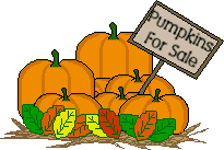 pumpkins4sale